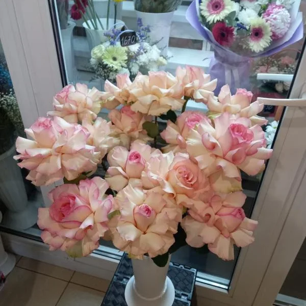 Французские розы